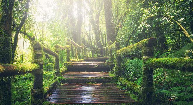 经济日报：房地产调控将提高政策精准度