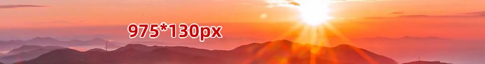 975*130px