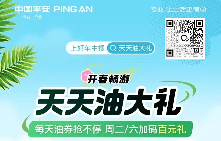 平安好车主—天天油大礼